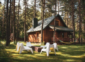 Jarzębinowa - Dom do wynajęcia na Podlasiu